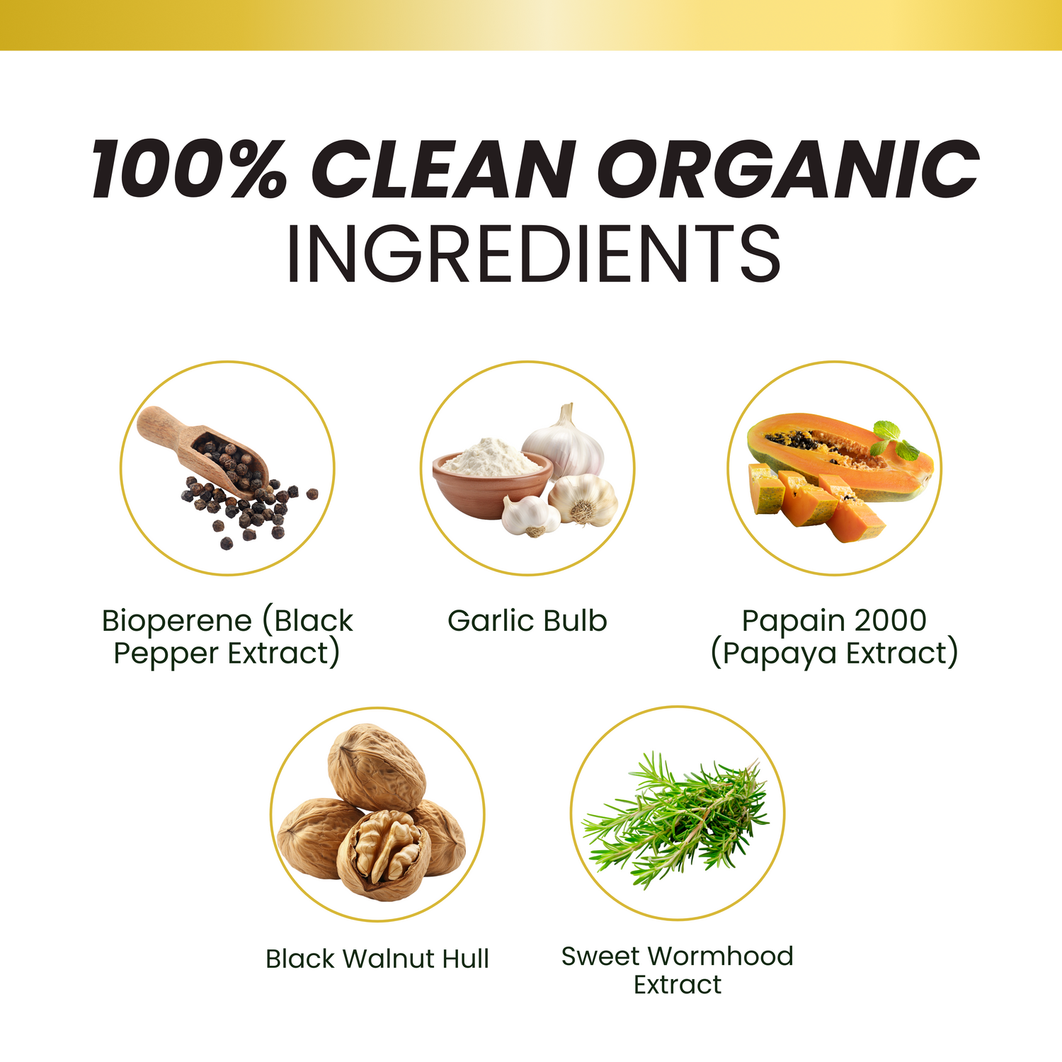 Paratox: Herbal Detox & Cleanse Support