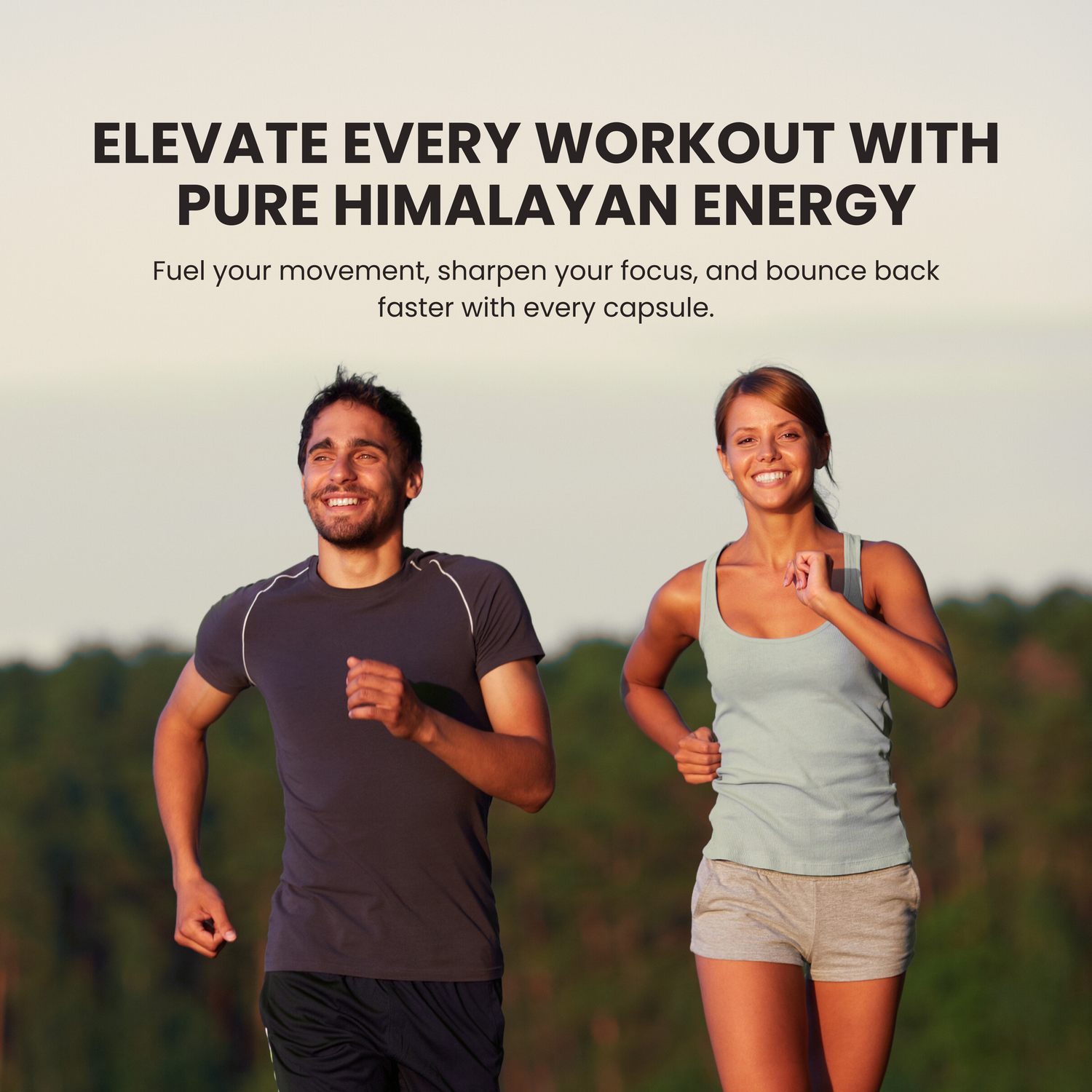 Pure Himalayan Shilajit Extract