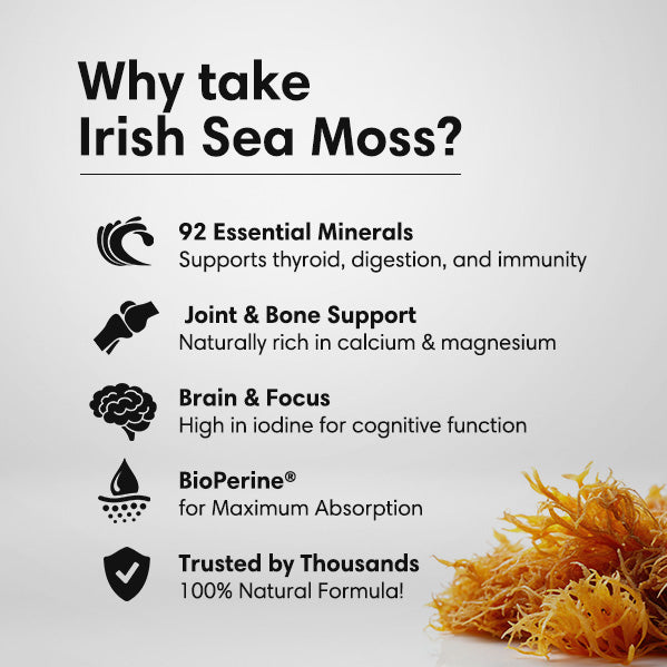 Organic Irish Sea Moss Capsules – 92 Minerals for Thyroid, Gut Health & Immune Support