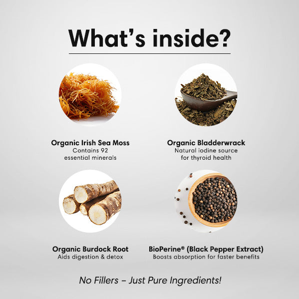 Organic Irish Sea Moss Capsules – 92 Minerals for Thyroid, Gut Health & Immune Support