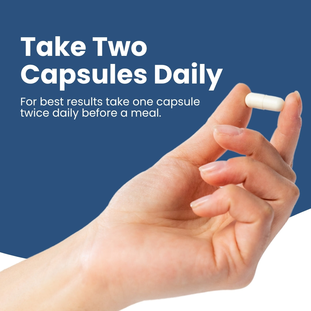 Sherpa Gold Probiotics – 40 Billion CFU (60 Vegan Capsules)