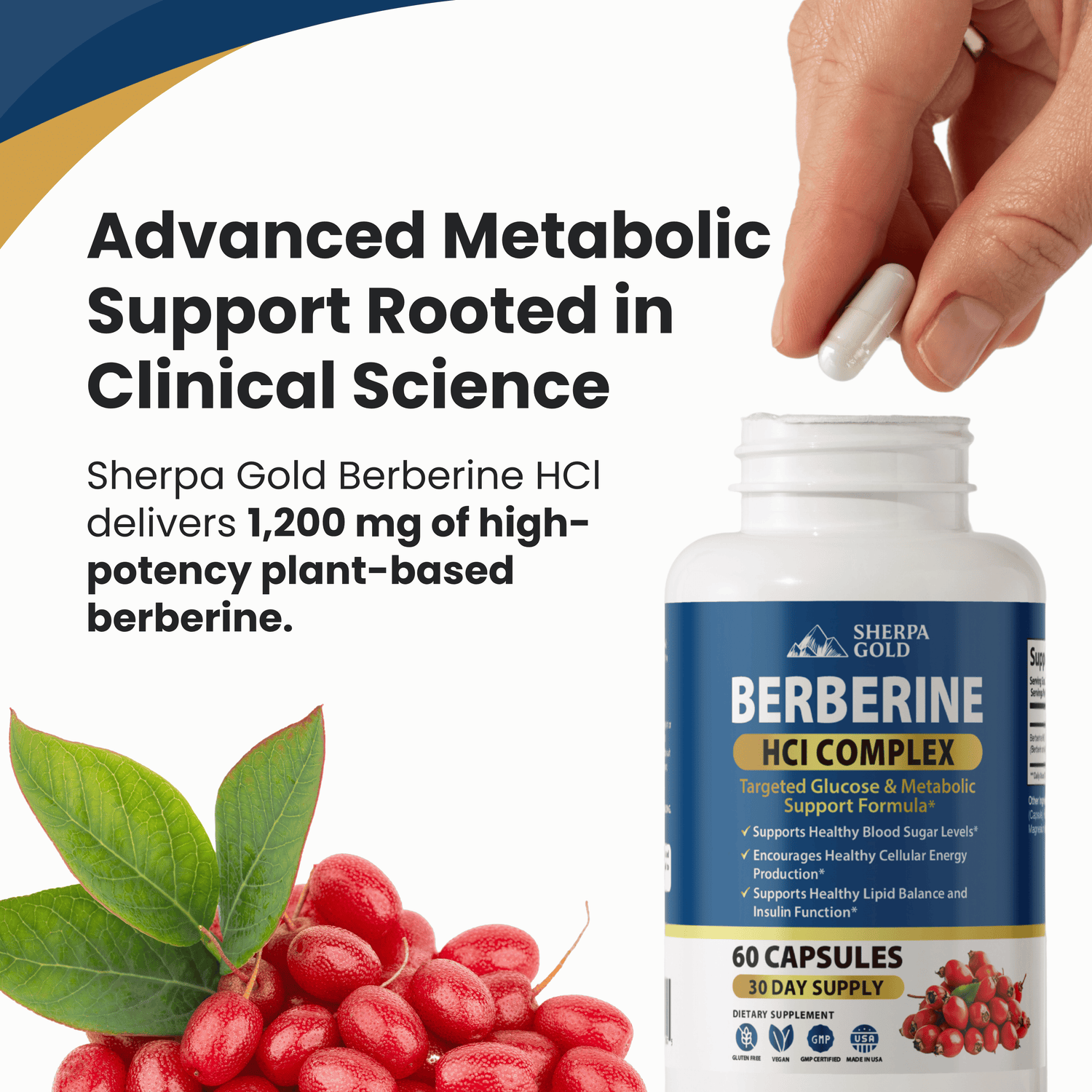 Sherpa Gold Pure Berberine β HCl Complex (60 Capsules)